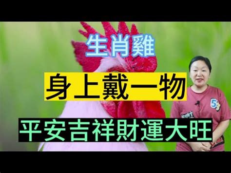 屬雞坐北朝南|【屬雞房屋座向】屬雞房屋座向：開運風水指引，助你財運亨通，。